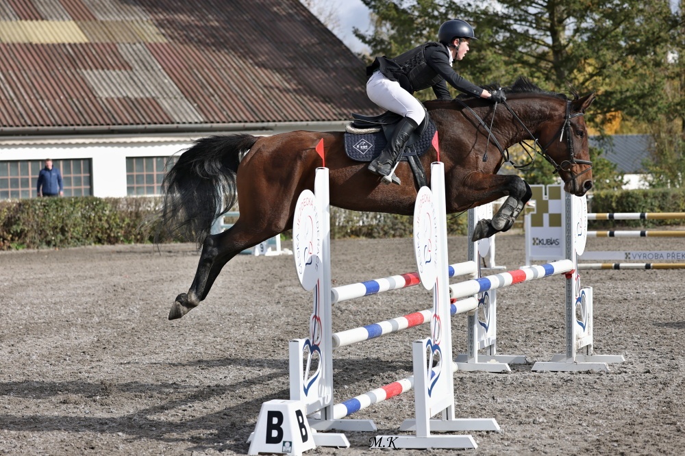 KOBYLKA NA AKTIVNÍ REKREACI / HOBBY SPORT - 3