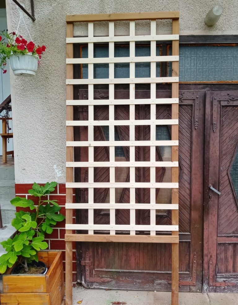 Pergola na hrozno, kvety atď. - 3