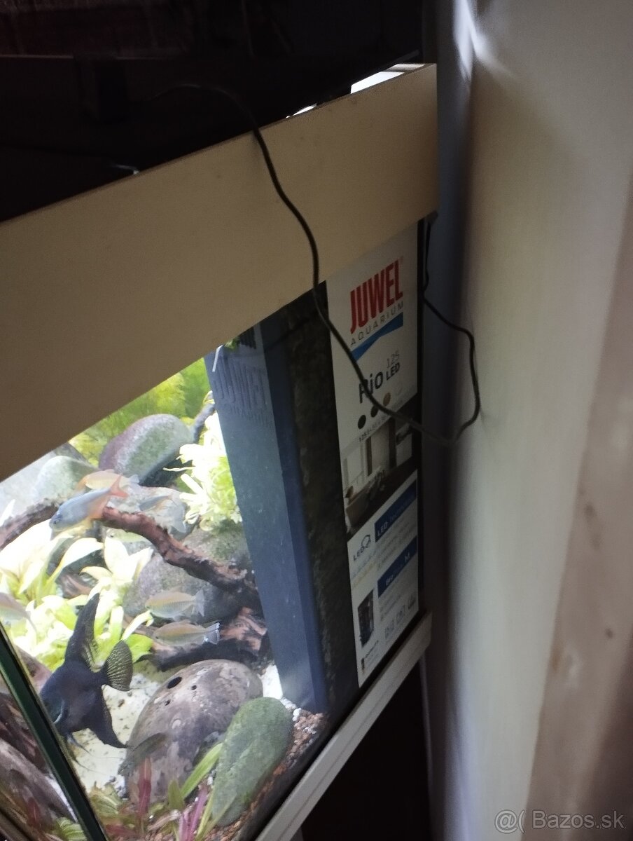 Akvárium - 3