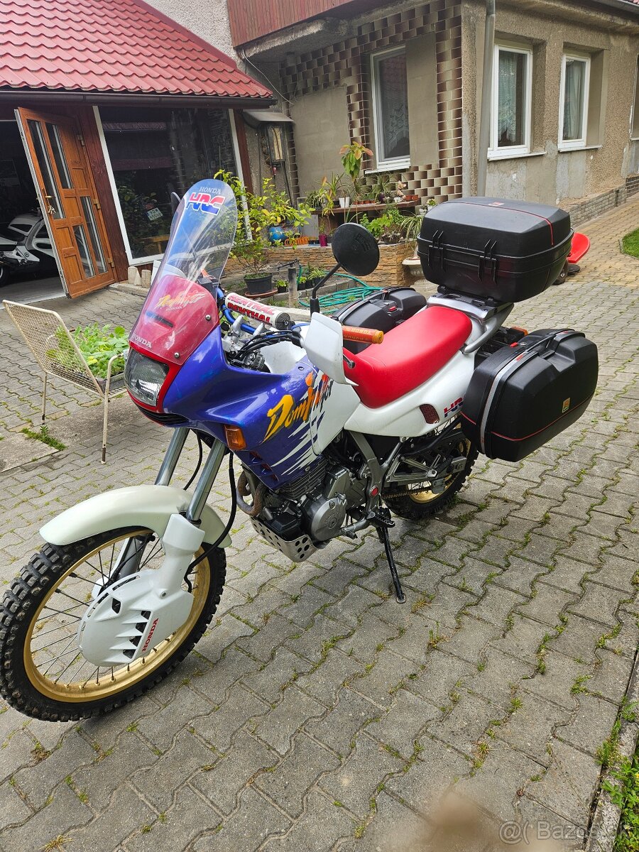 Honda dominator