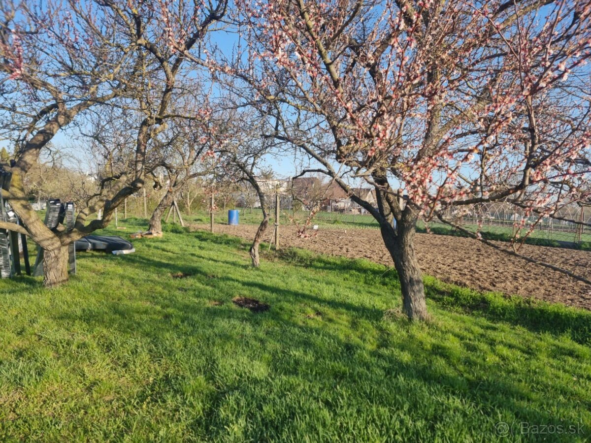 ponúkam pletivové ploty na kľúč - 3