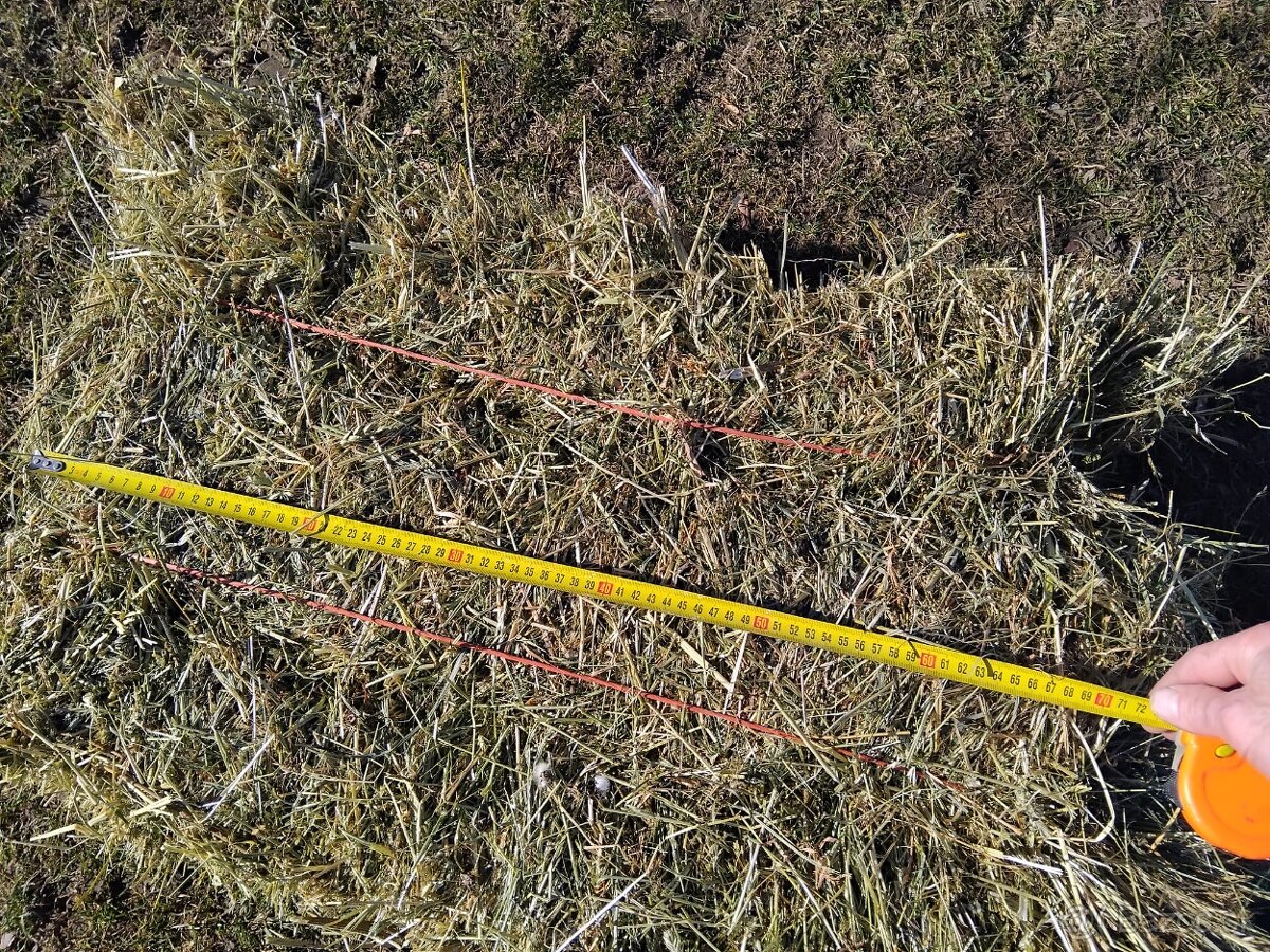 Seno male hranate baliky - 3