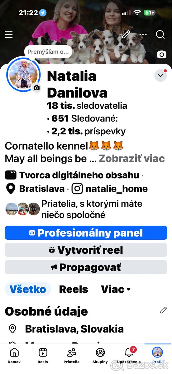 Welsh corgi pembroke. - 3