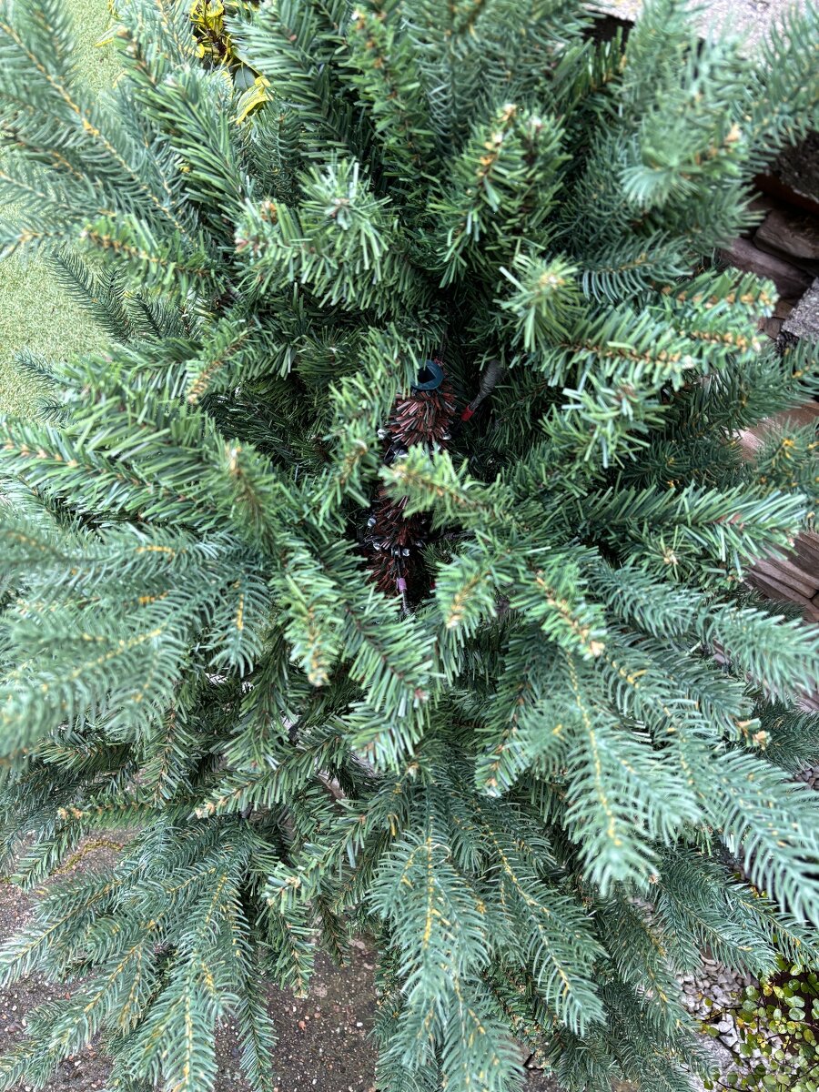 Vianočný stromček - 3