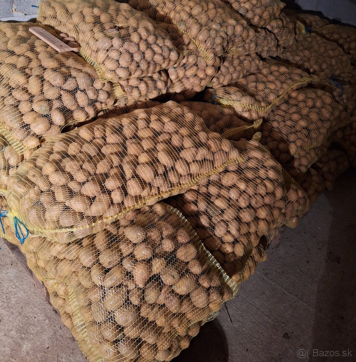 Sadbové zemiaky Soraya - 3