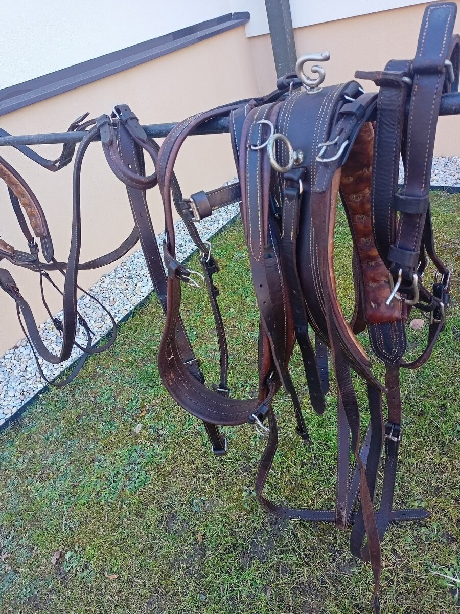 Hnedé kožené poprsne postroje na dva kone - 3