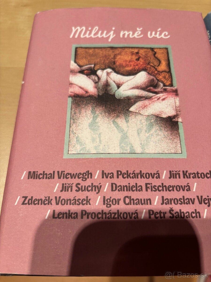 Michal Viewegh a ini - 3