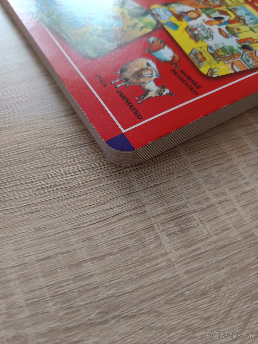 Prvý detský obrázkový slovník - 3