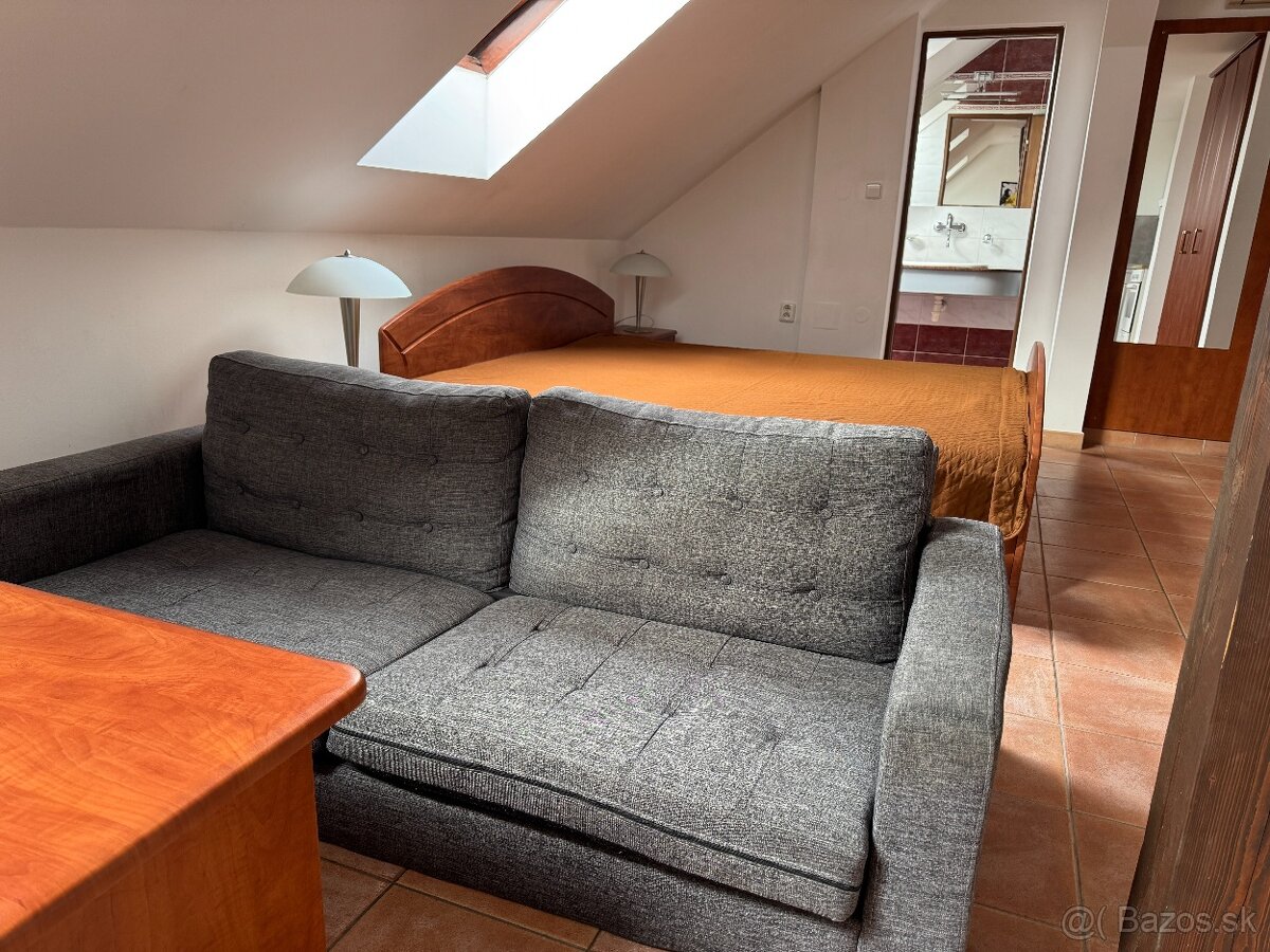Podkrovný 1 izbový apartmán v centre - 3