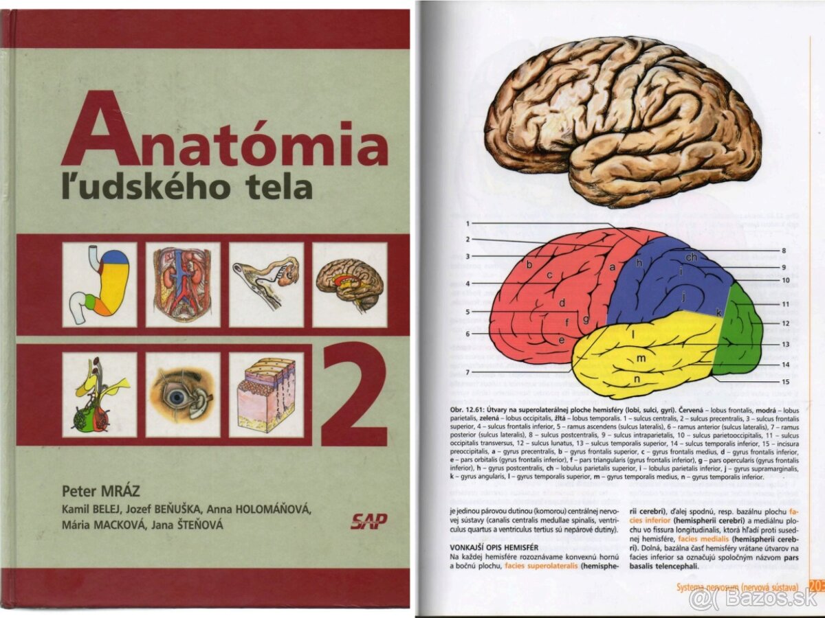 ANATÓMIA - knihy v PDF - 3