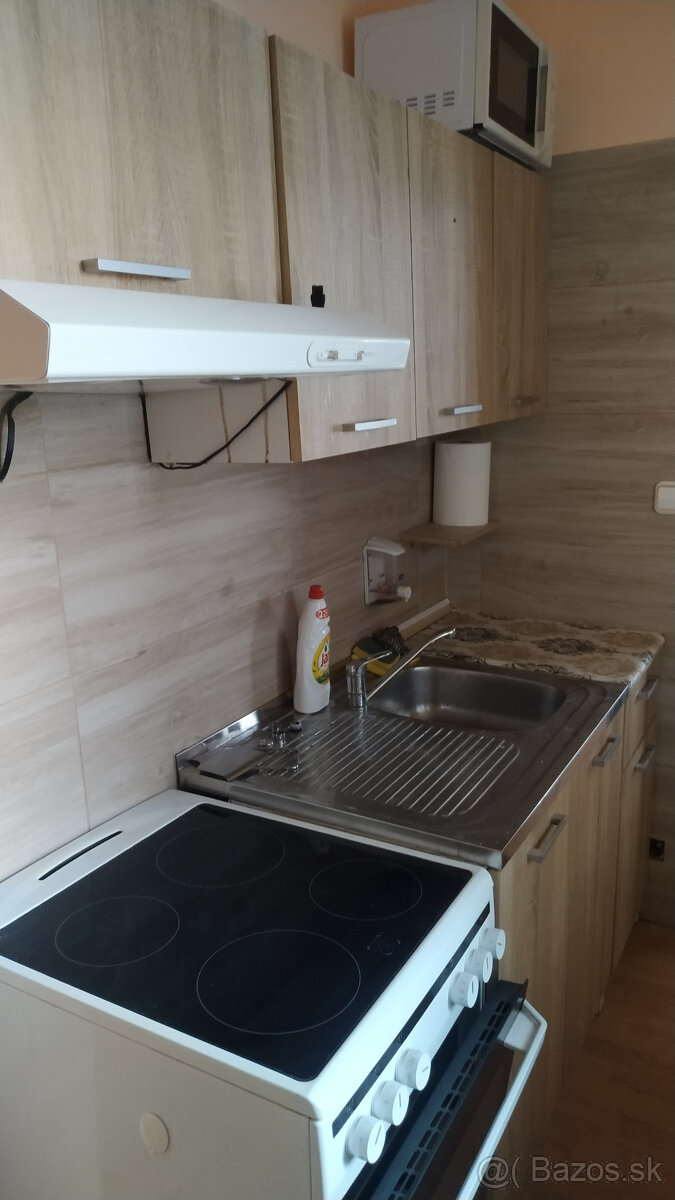 1 izbový byt na prenájom - 3