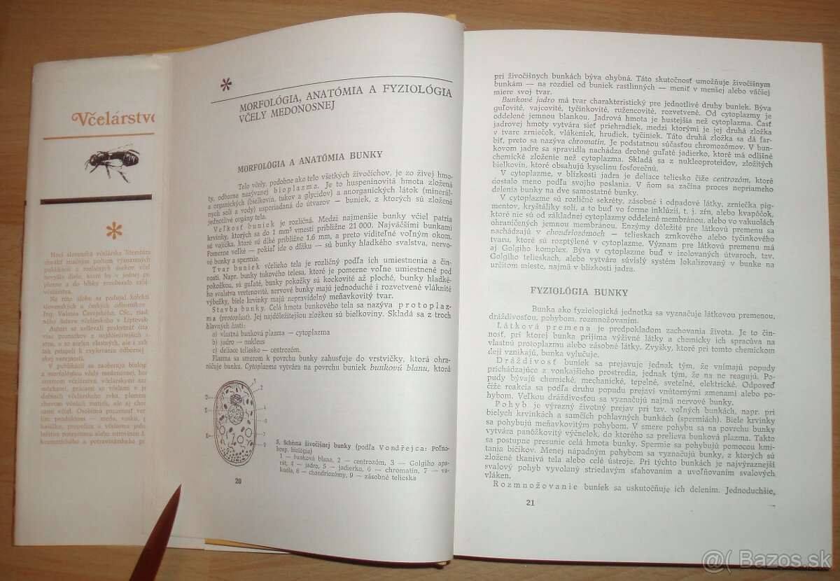 Včelárstvo - 3
