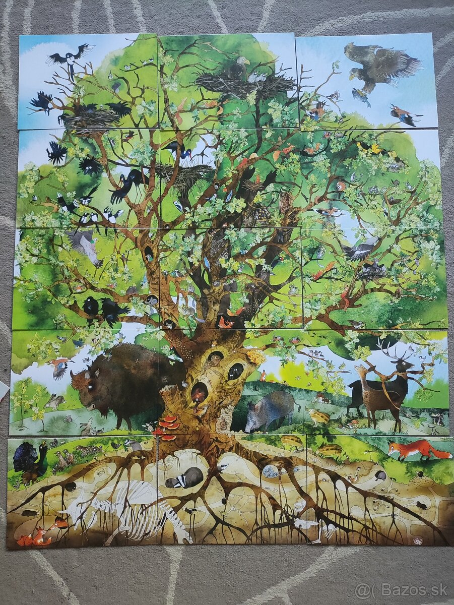 Strom (Katarzyna Bajerowiczová) - 3