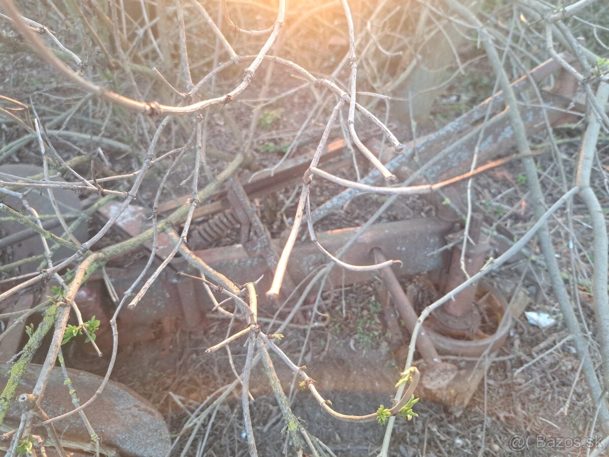 Dvojbubnova kosa - 3