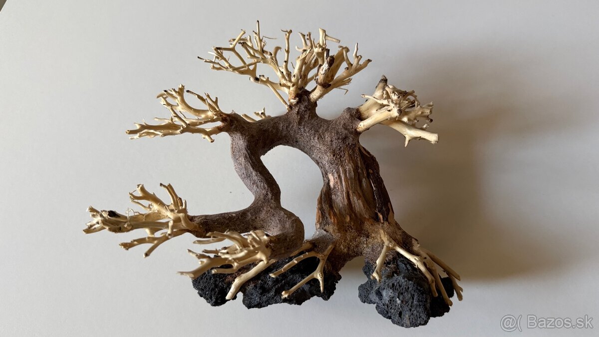 Bonsai Driftwood - 3