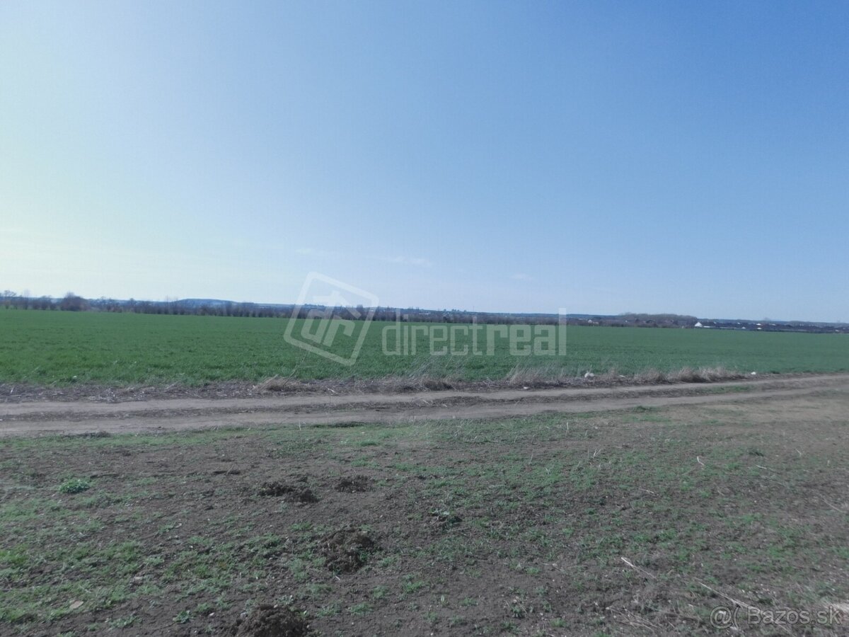 Predáme pozemok v Skalici časť Višňovec - 3