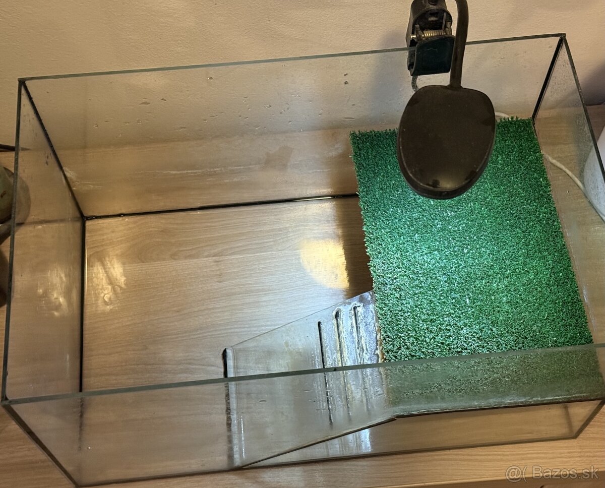 Terárium za symbolicku cenu - 3