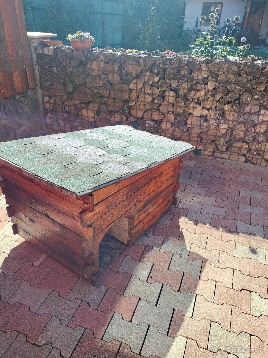 Psia búda - 3