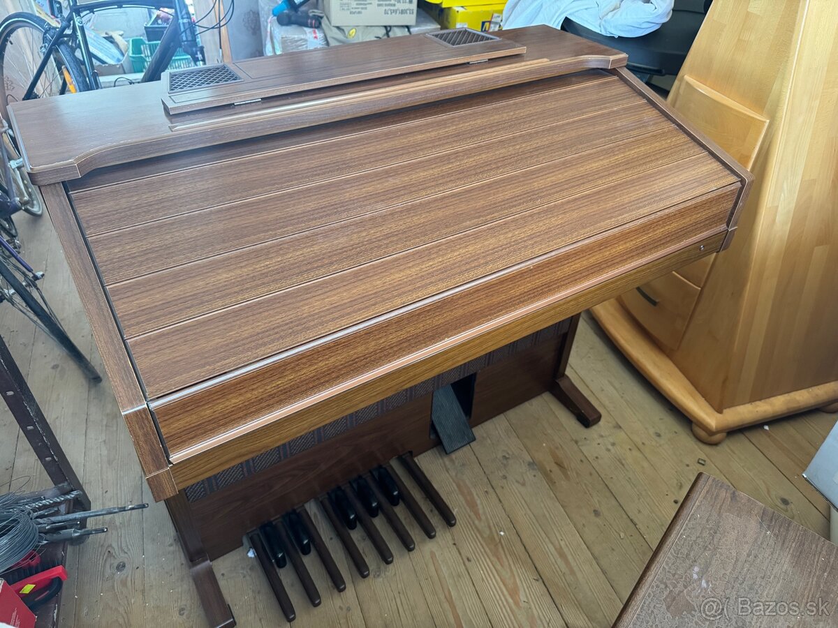 Elektrický Organ - 3