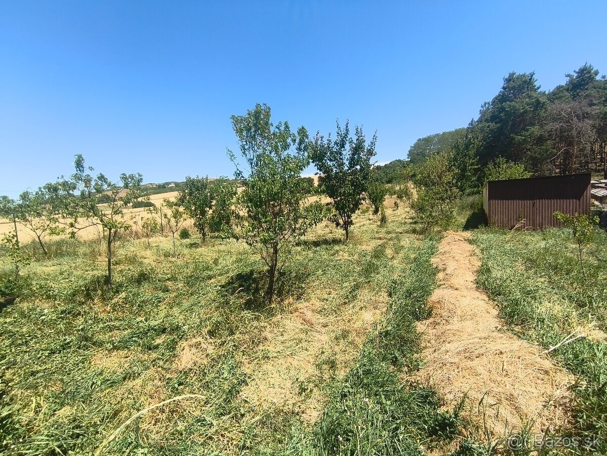 Rekreacna záhrada s garazou rimavske Janovce - 3