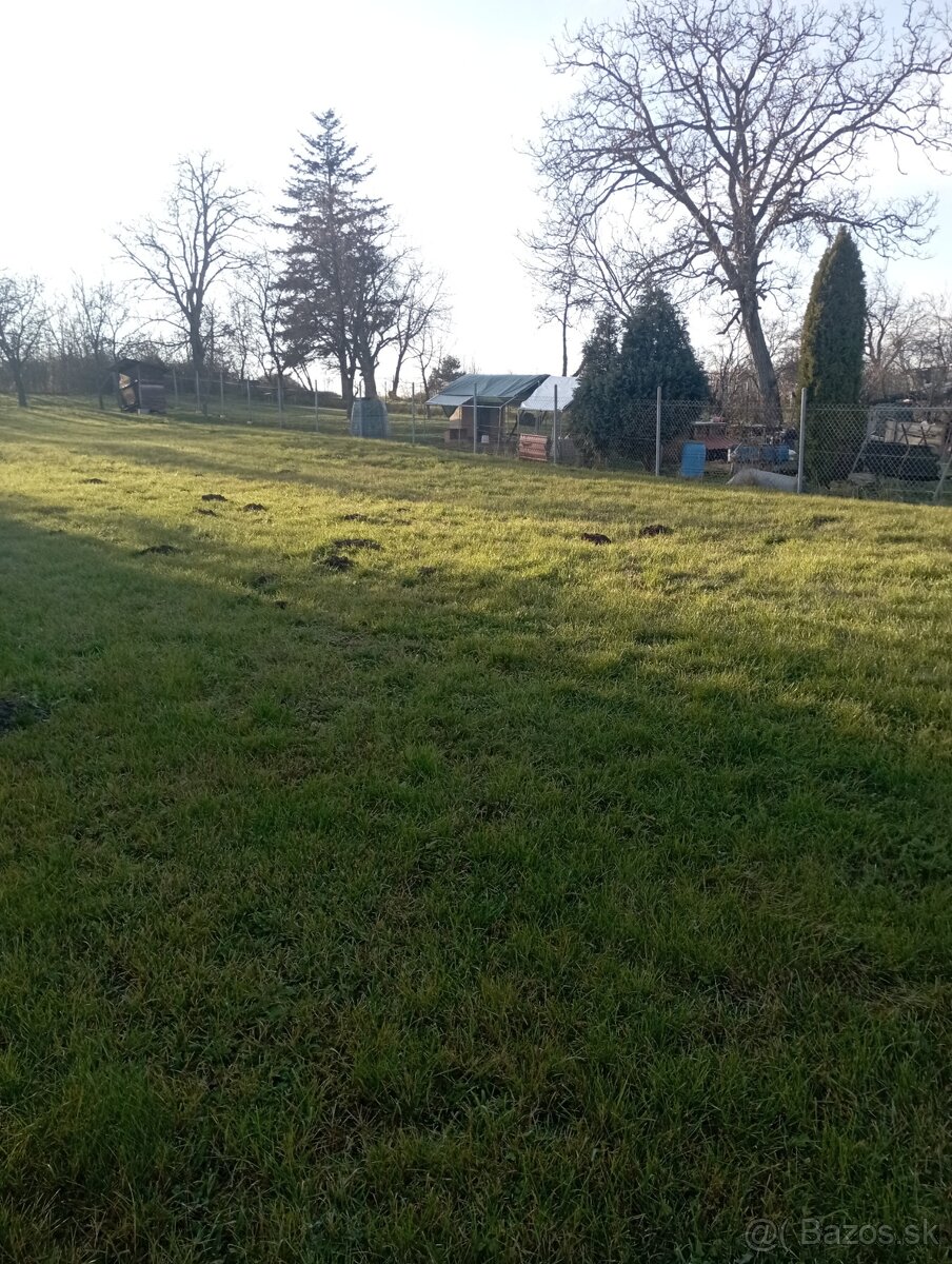 Na predaj dom , Pozdišovce, okr. Michalovce - 3