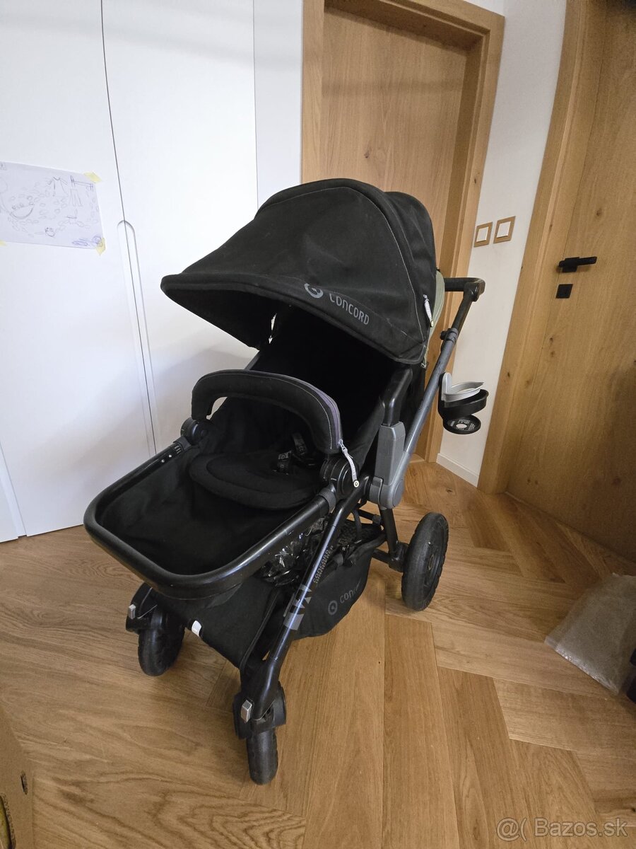 Sportovy kocik Concord Wanderer - 3