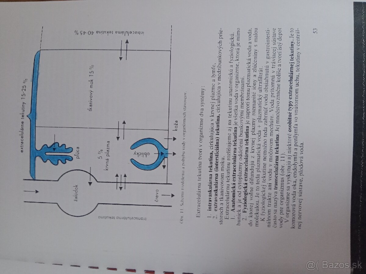 Skripta - Fyziologia živočichov a človeka - 3