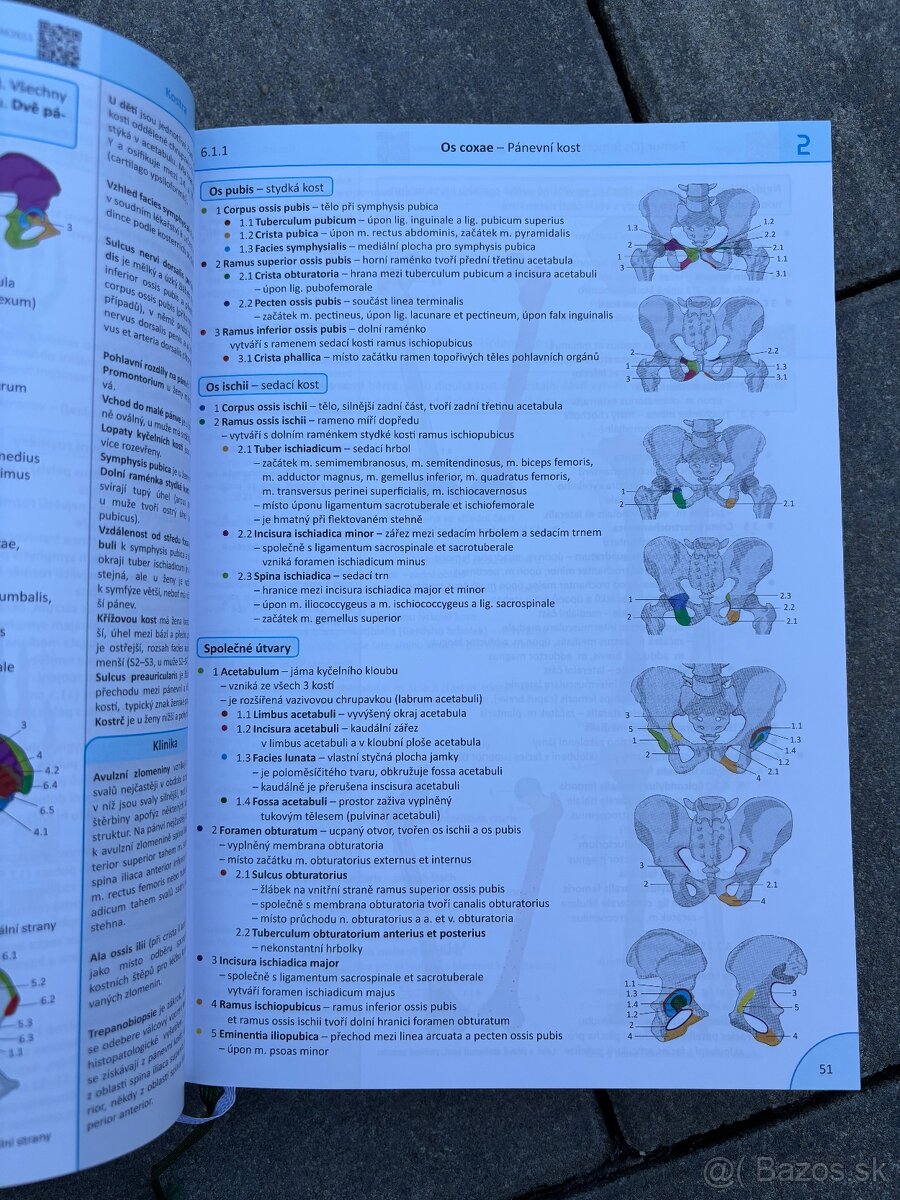 Memorix anatomie 6.vydanie - 3