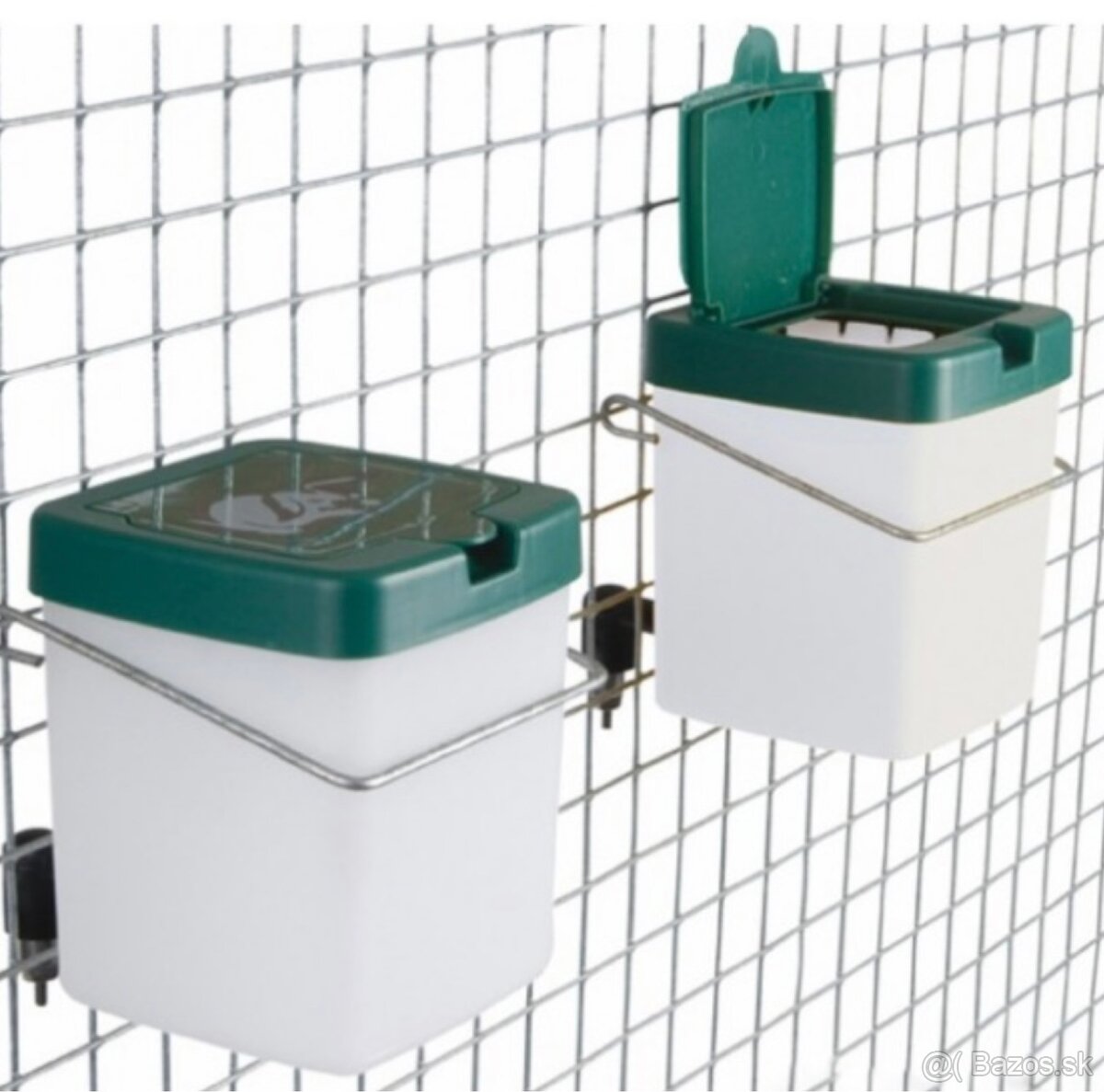 Burgundský králik - 3