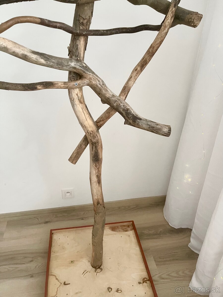 Strom pre papagaje - 3