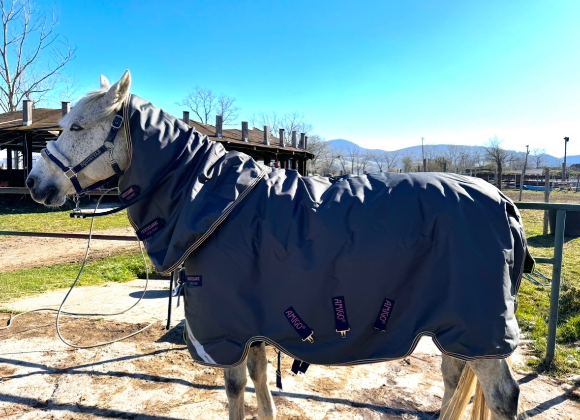 Amigo bravo 12 plus bundle 3v1 - 3