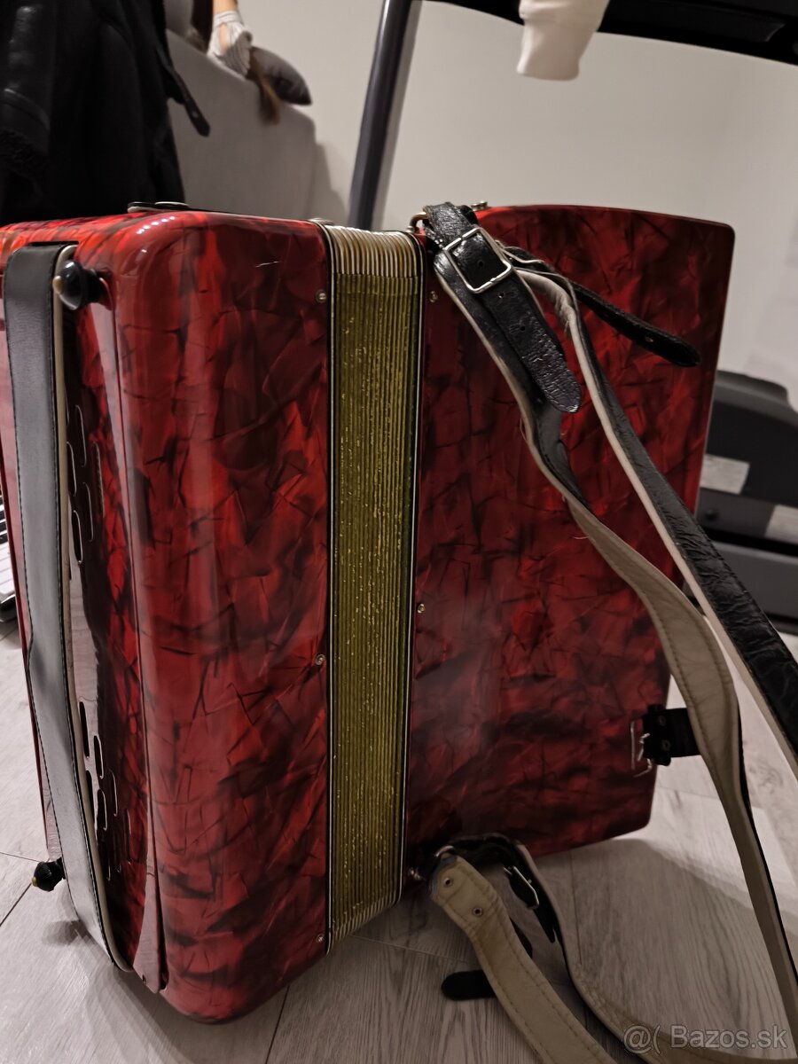 Delicia melodia V /96 basov - 3