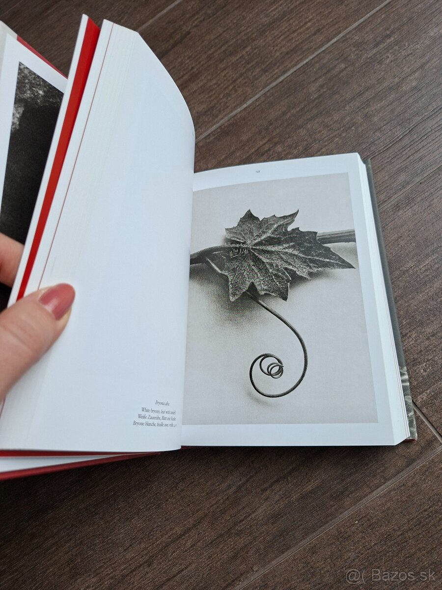 Kniha Karl Blossfeldt - 3