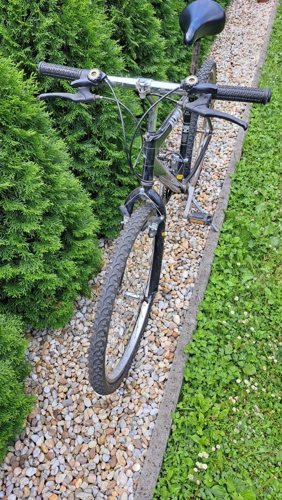 HORSKÝ BICYKEL ALPINA - 3