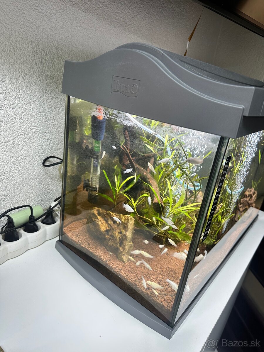 Akvárium - 3