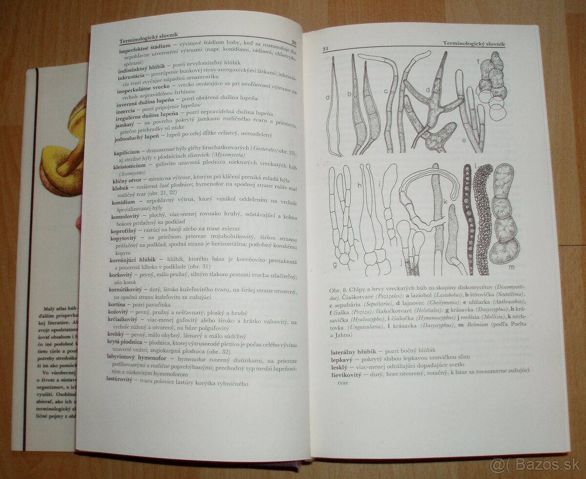 Malý atlas húb - 3