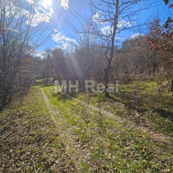 KANAŠ pozemok v lone prírody len 7 km od Prešova 10€/m2 - 3