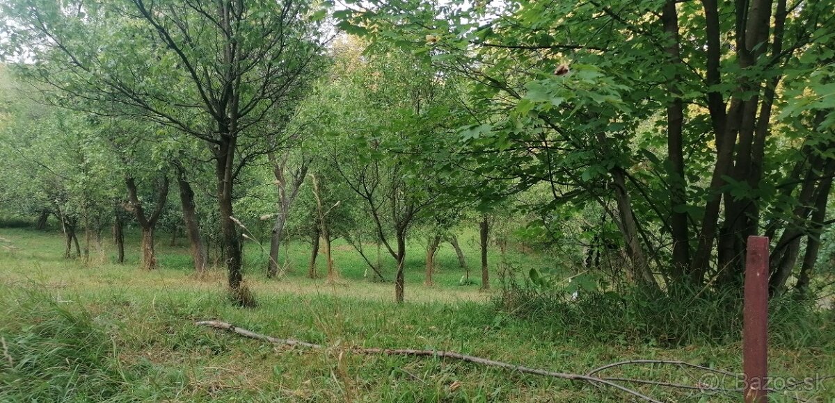 Brestovec - stavebný pozemok - 3