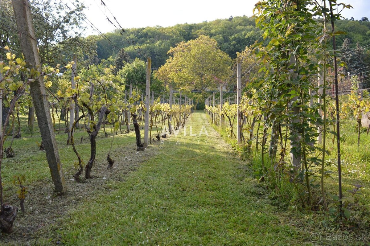 TOP NA PREDAJ: zaujímavý pozemok 740m2 - Smolenice - 3