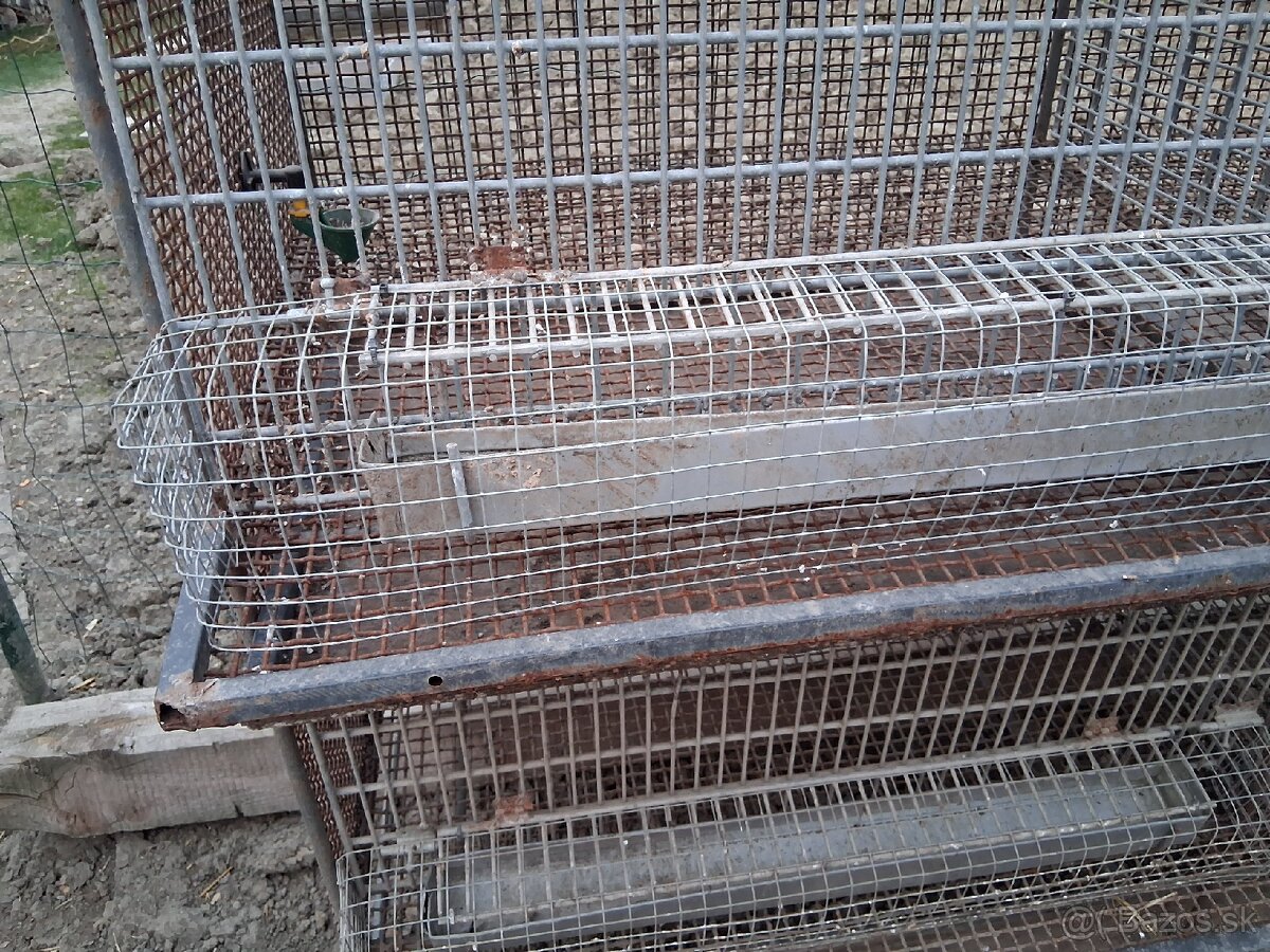 Klietka pre prepelice - 3