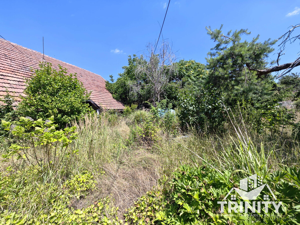 Na predaj Rodinný dom (vidiecky) v obci Svätý Peter - 3