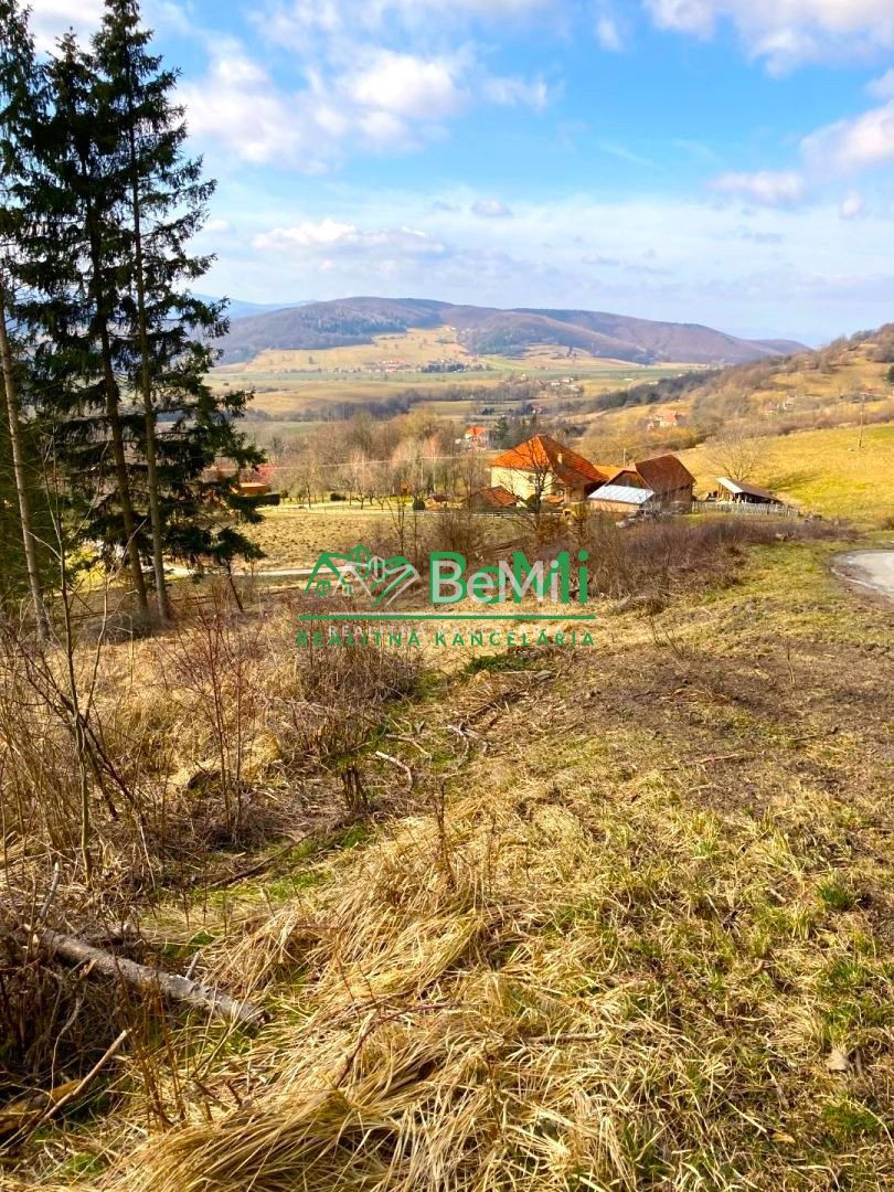 Pozemok pod lesom 1748 m2, Skliarovo - 3