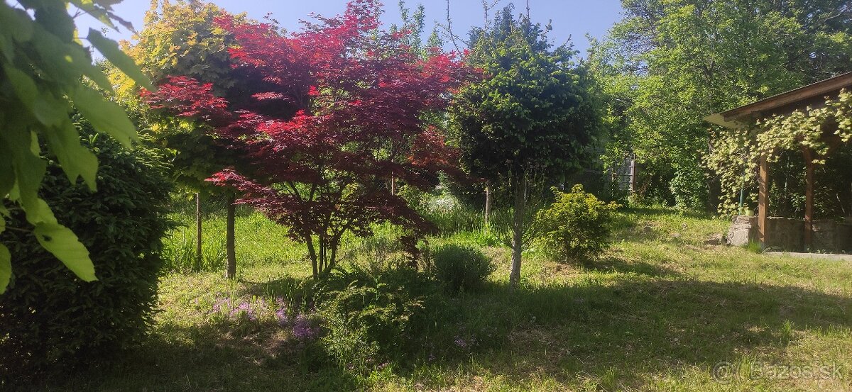 Predám záhradu - 3