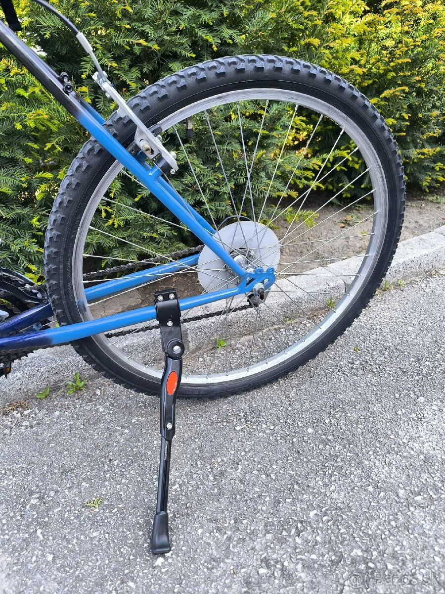 Pánsky bicykel Dema - 3