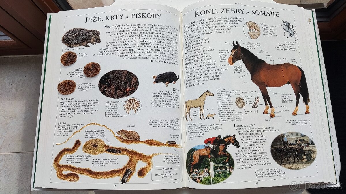 Živý svet - Detská Encyklopédia - 3