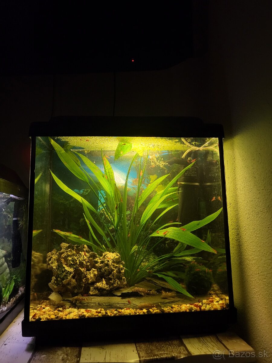 Predám akvária cca 60l - 3