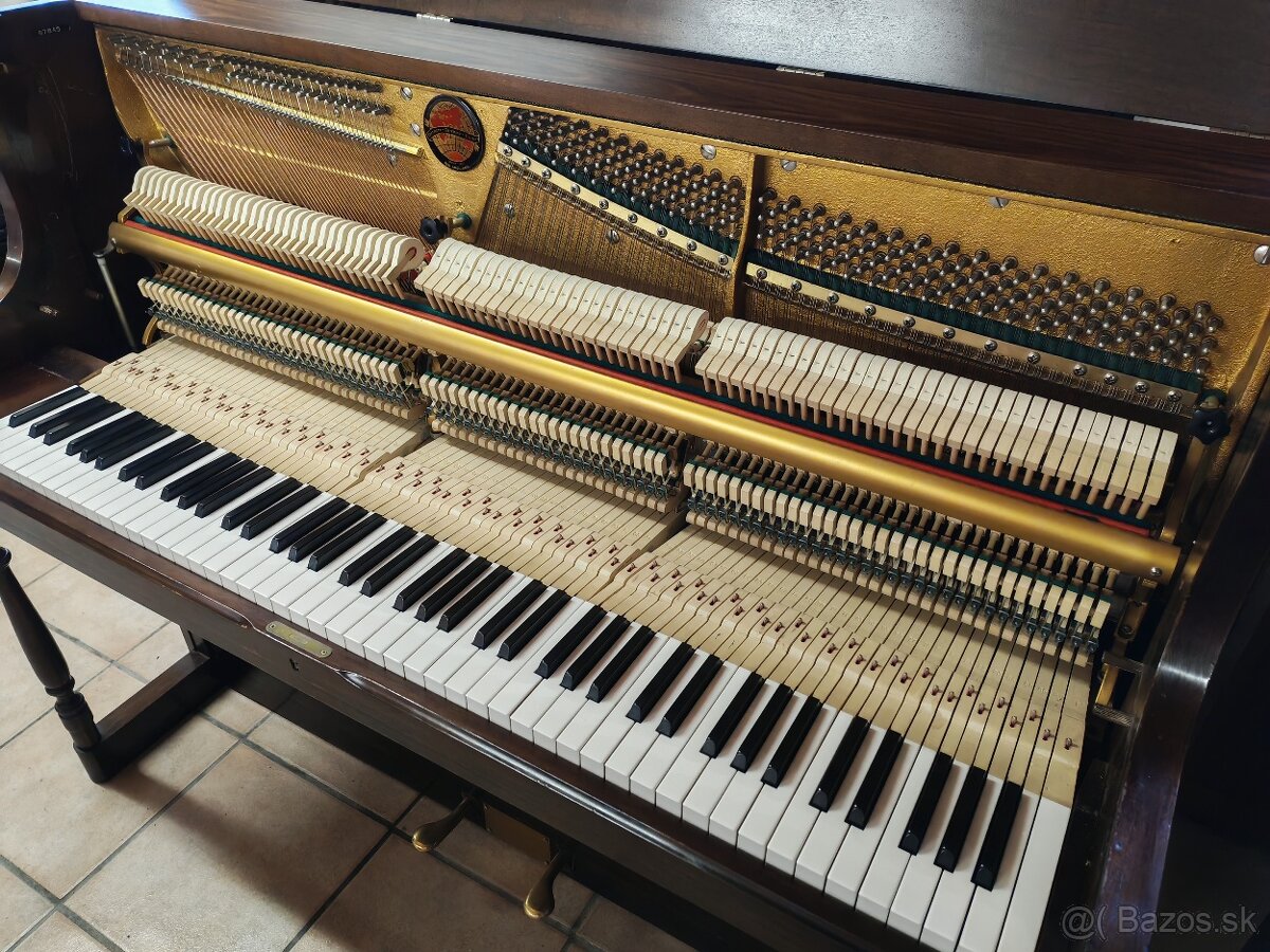 Dietmann dovoz celá SR - 3