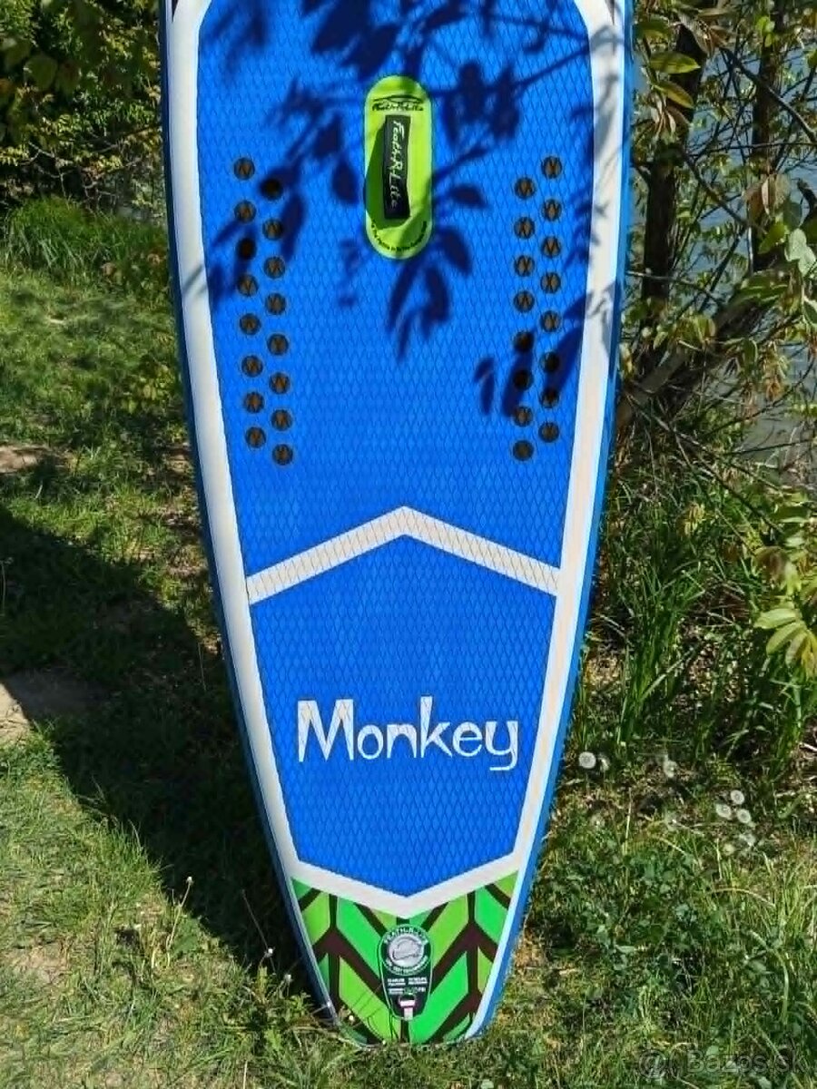 Paddleboard monkey - 3