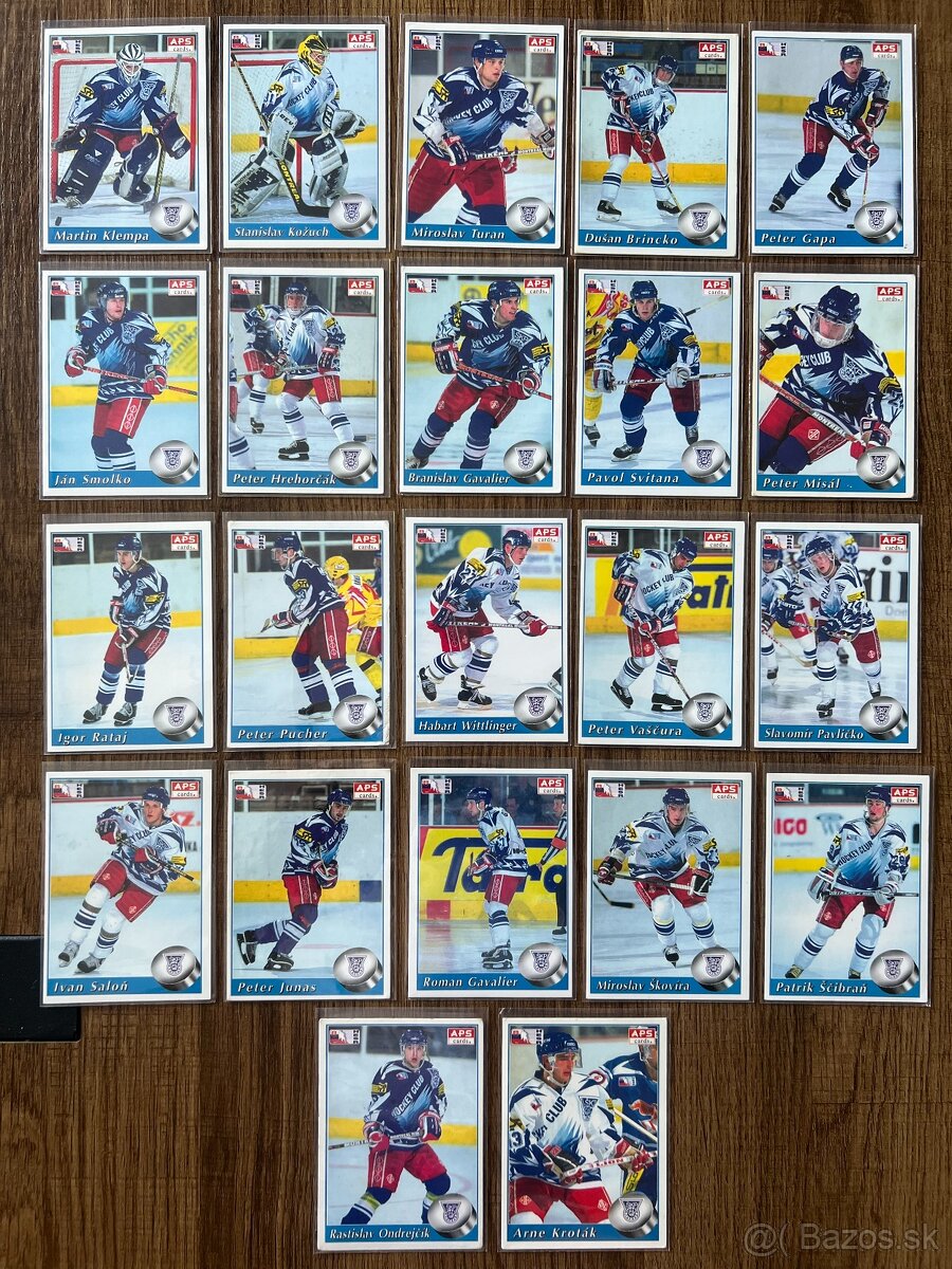 APS karty hokej 95/96 - 3