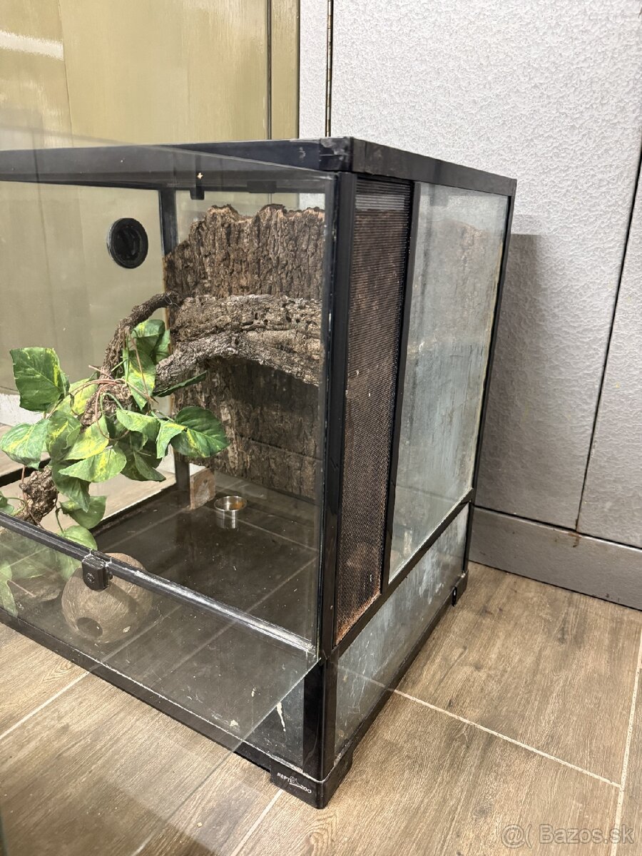 Terarium reptizoo - 3